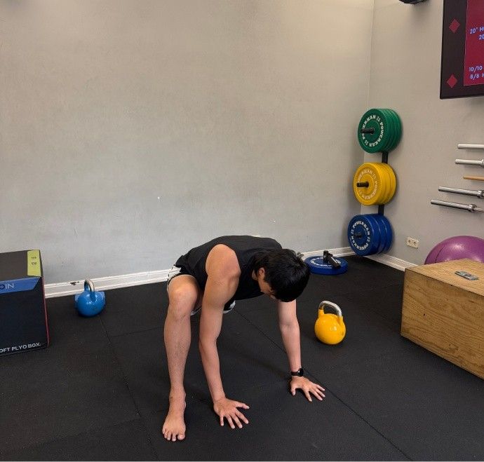 006Wsisnly1i3u2n57hc4j33b03d8kjn